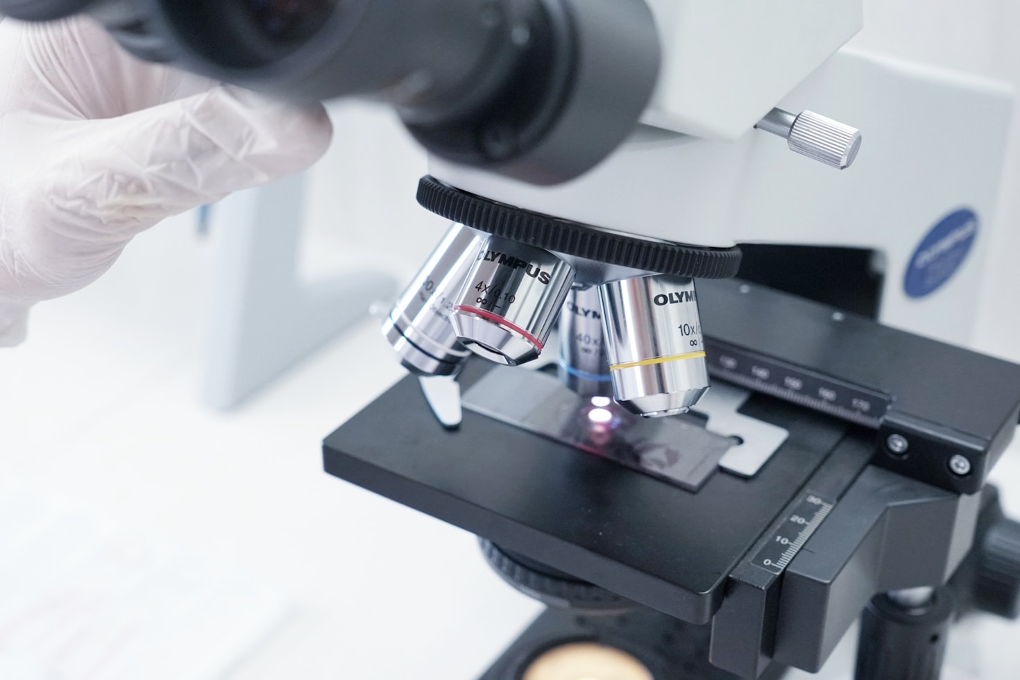 Exploring Uncharted Territories: The Importance of Scientific Discovery