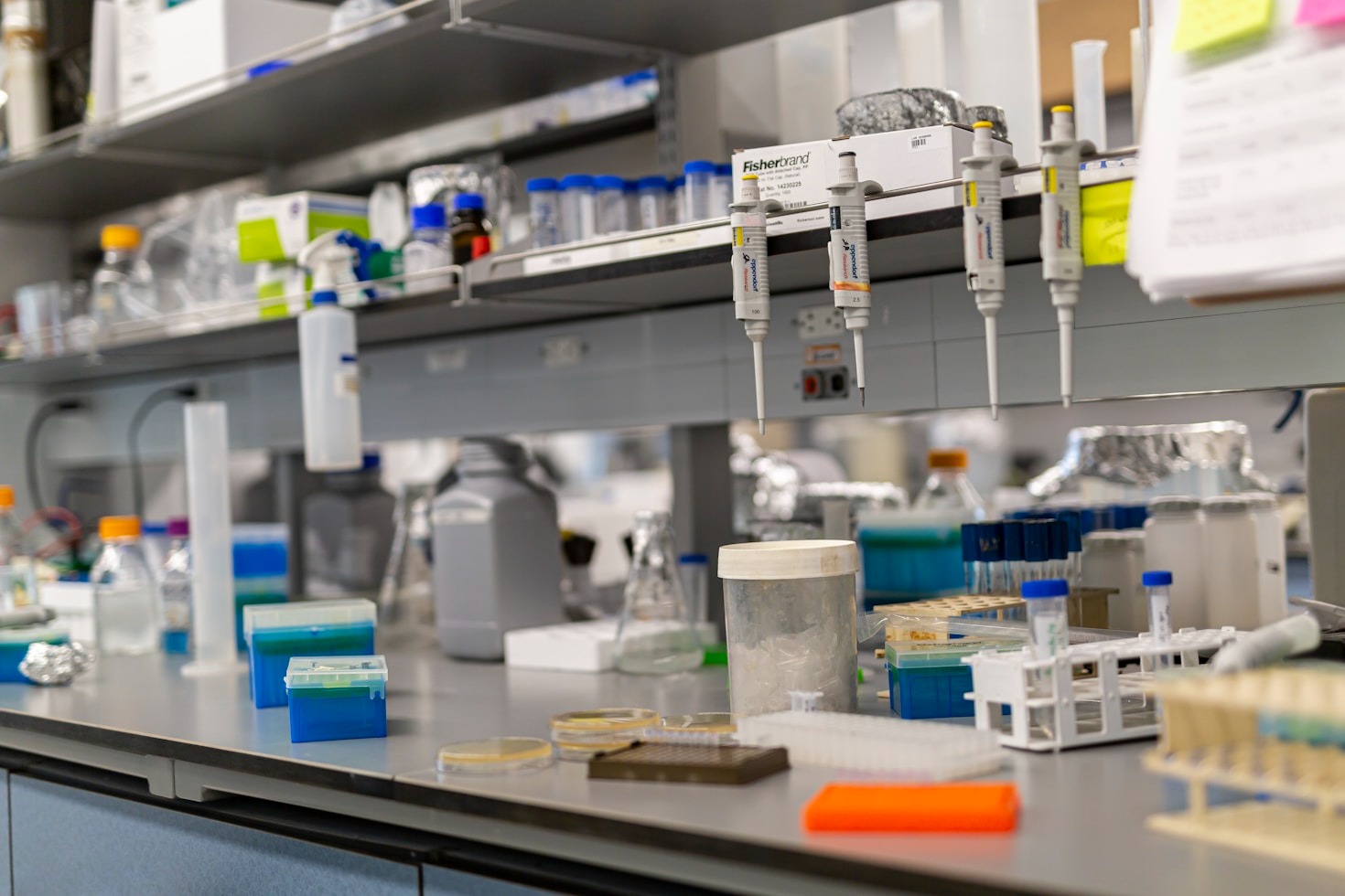 Excelling in Field Research: Techniques and Tools